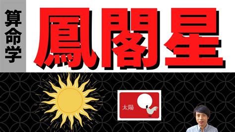 鳳閣星|【算命学：鳳閣星】素直で明るい表現者！衣食住や子。